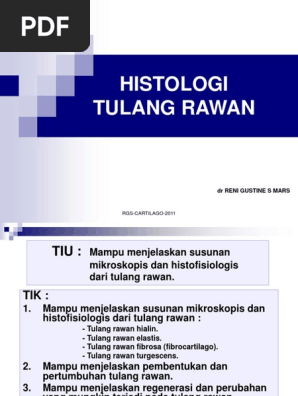 Histologi Tulang Rawan 2011