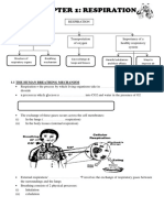 Chapter 1: Respiration: 1.1 The Human Breathing Mechanism