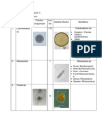 Tabel Data Plankton Stasiun 3