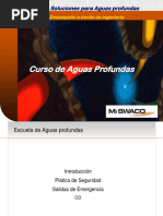 1 DWMS Introduction 2005 (Spanish Final)