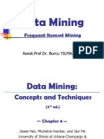 Frequent Itemset Mining