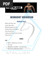 Workout Plan the Blade 12 Weeks