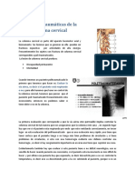  Lesiones Traumáticas de La Columna Cervical