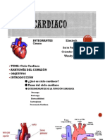 Ciclo Cardiacomm