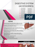 Aksesoris-Sistem-Pencernaan (Revisi)