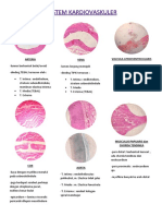 Histologi Sistem Kardivaskuler 