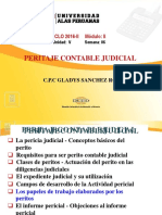 Peritaje Contable Judicial - Semana 06