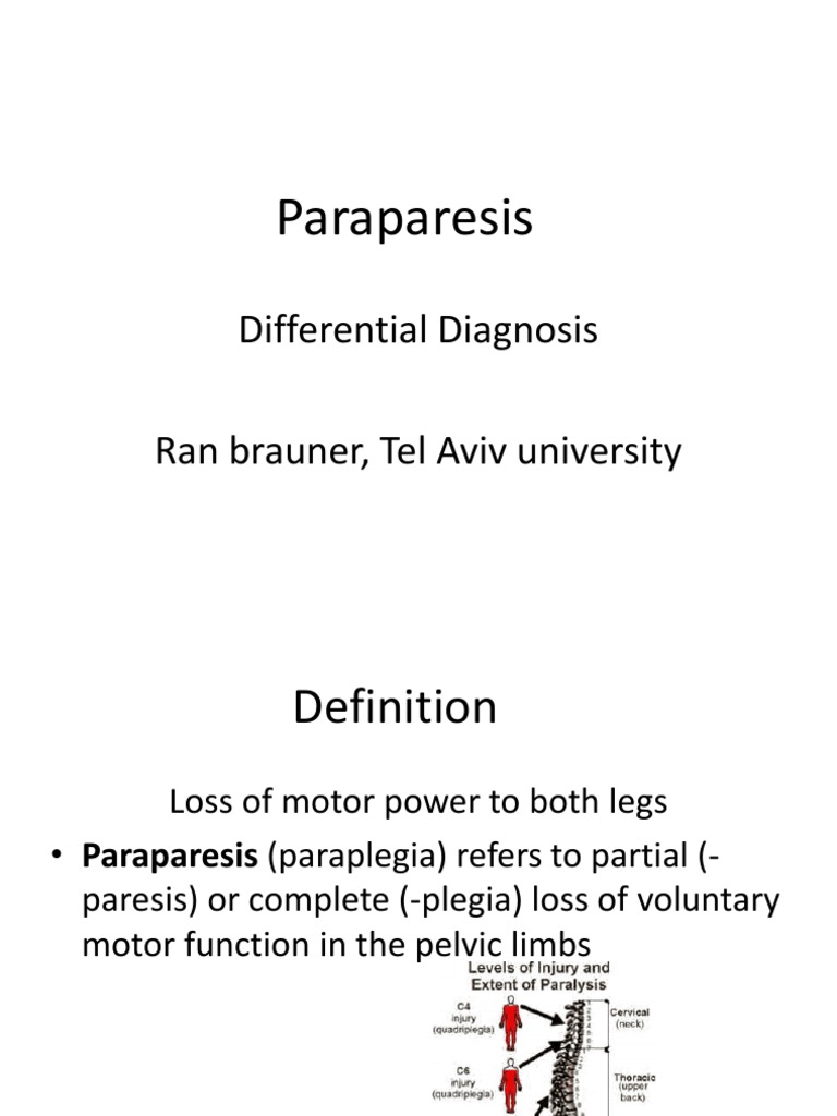 Understanding Paraparesis Diagnosis | PDF | Central Nervous System ...
