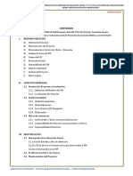 Resumen Ejecutivo Ambitarini - Corregir