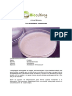 Ficha Tecnica Azotobacter Chroococcum