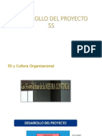 DESARROLLO DEL PROYECTO 5S.pptx