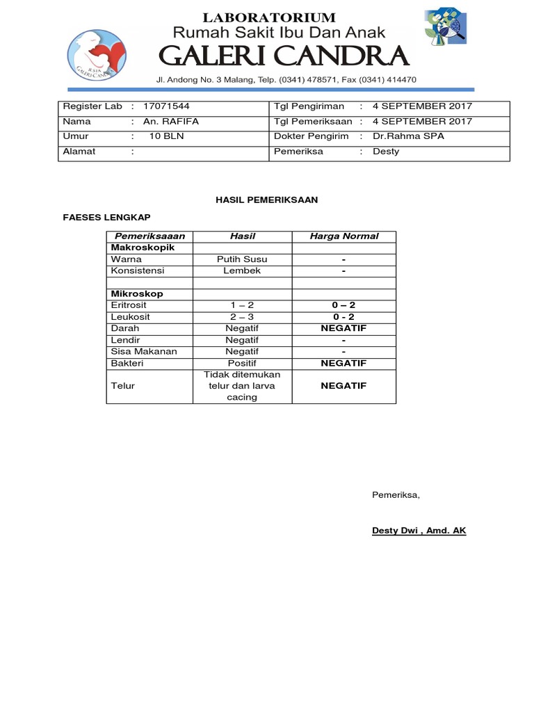 Hasil Pemeriksaan Feses Lengkap Bayi | PDF