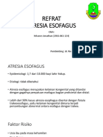 Atresi Esophagus: Overview, Etiologi, Patofisiologi, dan Tatalaksana
