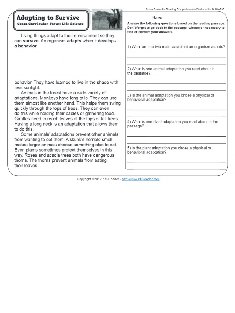 adapting to survive 3rd grade reading comprehension worksheetpdf
