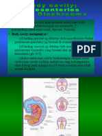 body cavity_mesenteries and diaphragma.ppt