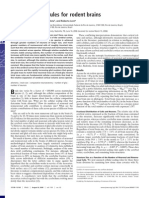 Cellular Scaling Rules for Rodent Brains - Suzana Herculano-Houzel - NeurociêNcia