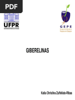 8 GIBERELINAS.pdf