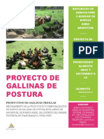 Proyecto de Gallinas - Junin