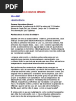 Adolescência é coisa do cérebro - Suzana Herculano-Houzel - neurociências, mente, cérebro