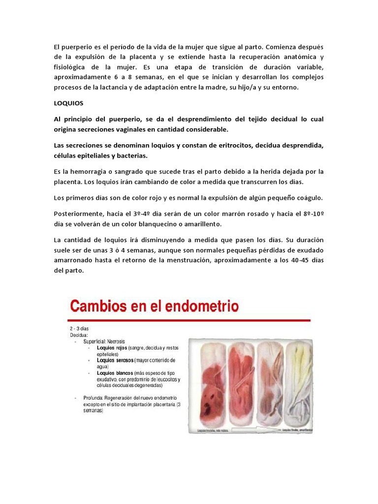 Características y tipos de loquios postparto | PDF