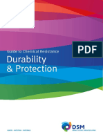 DSM GuideChemicalResistance - DurabilityProtection New 2012