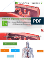 Sistema Cardiovascular