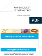 Strongyloides y Ancilostomideos