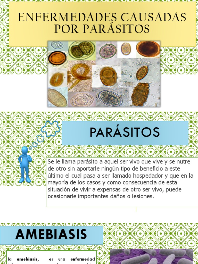 ENFERMEDADES CAUSADAS POR PARASITOS Especialidades Medicas 