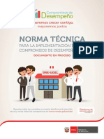 2017 Cdd Norma Tecnica (1)