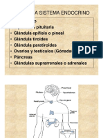 ENDOCRINO.pdf