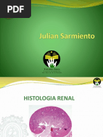 Diapositivas Renal