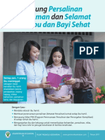 PedP4K PDF