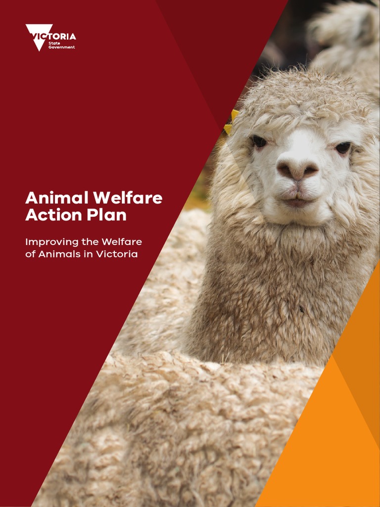 Animal Welfare Action Plan Dec 2017 | Animal Welfare | Cruelty To Animals