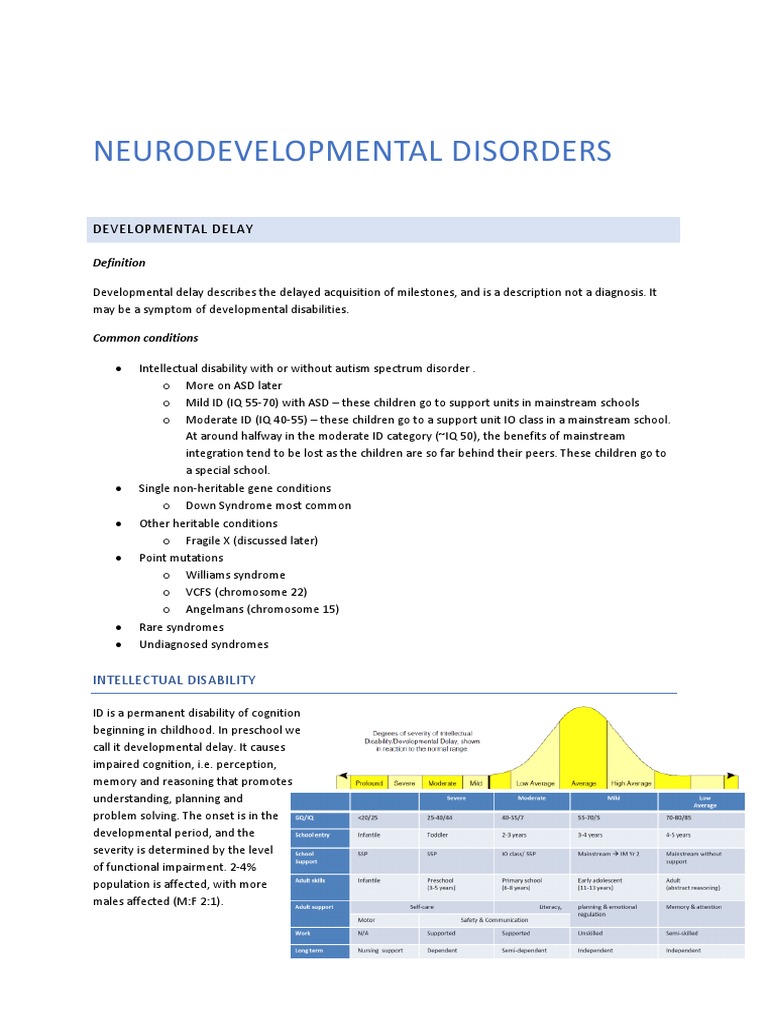 Understanding Neurodevelopmental Disorders | PDF | Autism Spectrum ...
