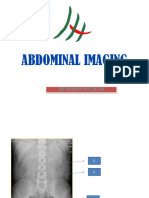 Skill Lab - Abdominal Imaging - Blok 17