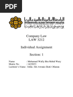 LAW Individual Assignment