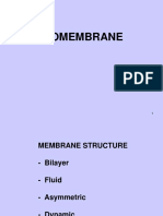 Bio Membrane