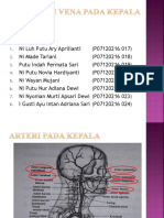 Arteri Dan Vena Pada Leher Yang Benar