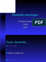 Bases Neurologicas