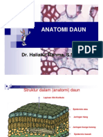 Kuliah 5 Anatomi Daun