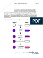 Gram Staining PDF