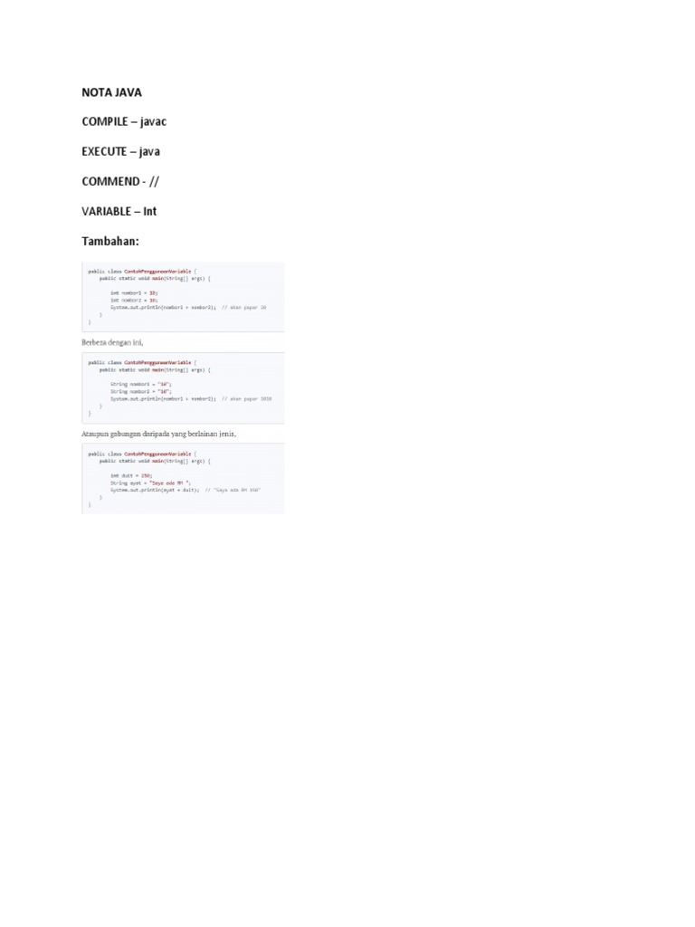 Java Basics: Compile, Execute, Comments | PDF