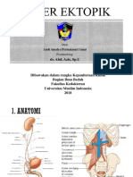 Anomali Ureter