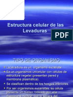 Citología