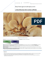 Cultivo de Hongos Pleurotus o Gírgolas - Curso Online Tutoreado - ACP Agroconsultora Plus