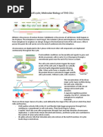 Specht's Classification and Biodiversity Analysis | PDF | Biodiversity ...