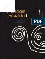 Arqueología Amazónica 1
