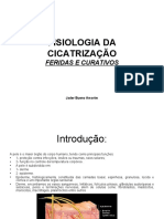 Fisiologia da Cicatrização