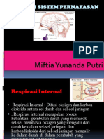 114127228-Anatomi-Sistem-Respirasi-PPT.pptx