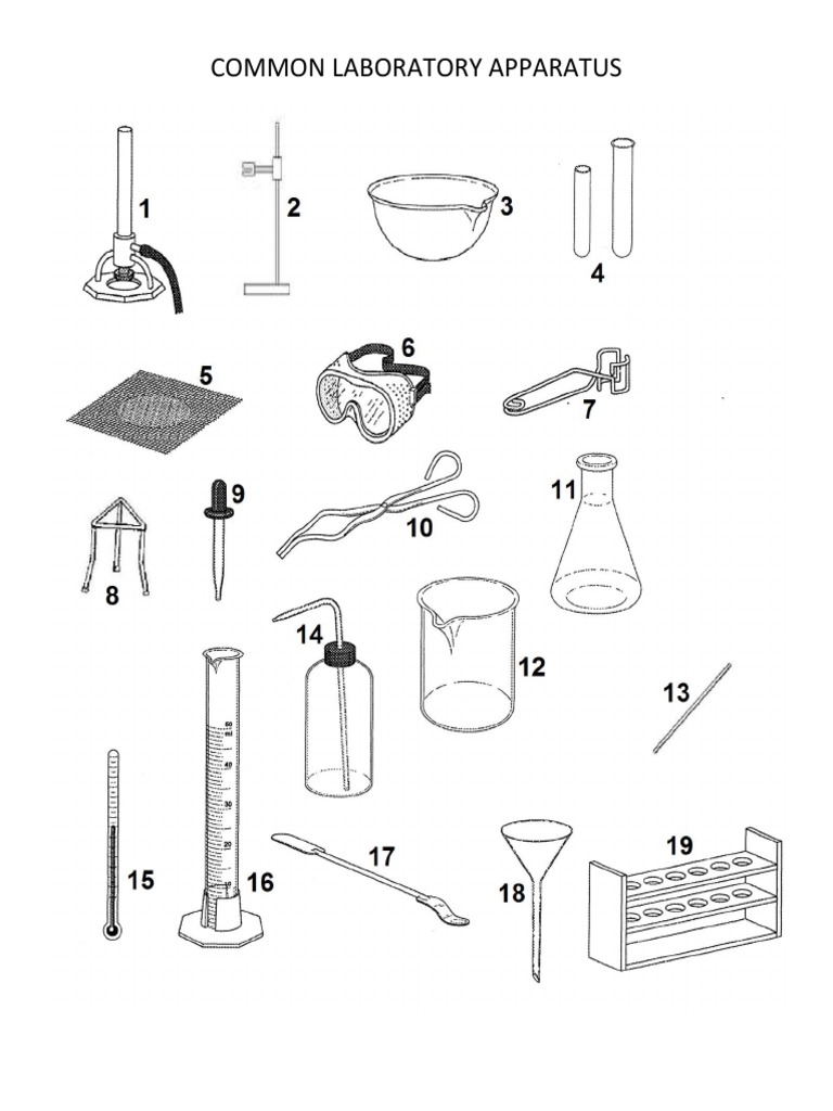 Common Laboratory Apparatus Overview | PDF